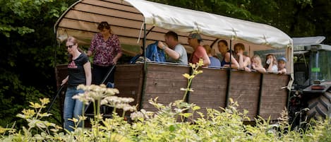 Jardines del alojamiento