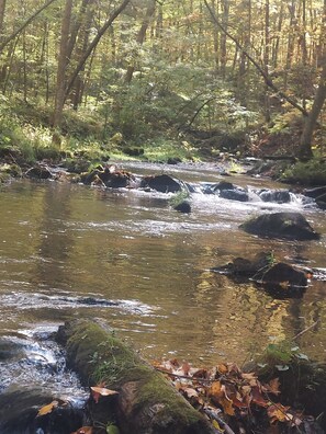 Knapp River
