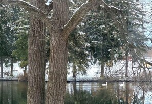 Winter is just as beautiful as fall.