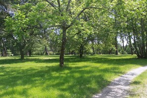 Property grounds
