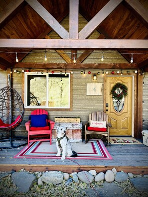 Holiday Porch and our Pooch