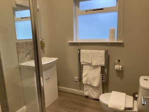 Pinewood family ensuite