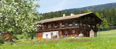 Außenansicht des Gebäudes. Unser Ferienhaus