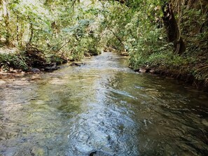 Naturpool
