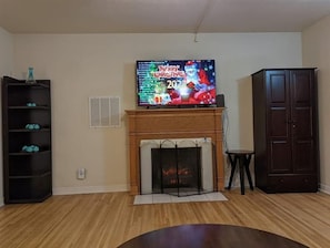 Living Room- fireplace, bookshelf and storage closet