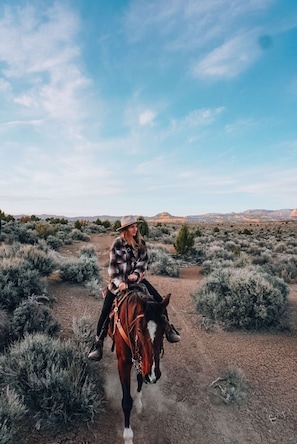 Reach out to our team upon booking to learn about adventure experiences in the area such as horseback riding.