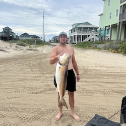 A great catch right from the beach by the house.
