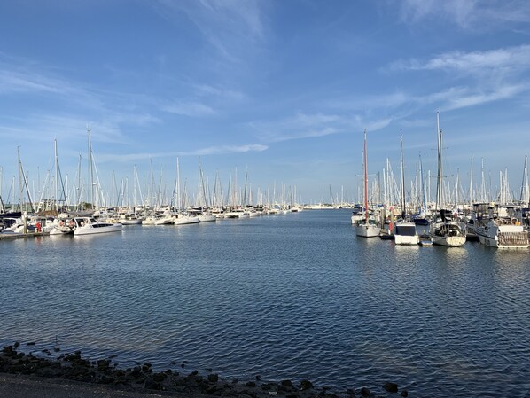 Marina