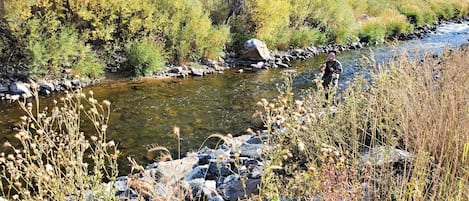 Fly fish in the Big Thompson River - just seconds away from the front door