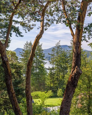Amazing trees and views from the living area and master bedroom.