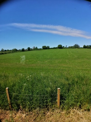 View over grassed fields