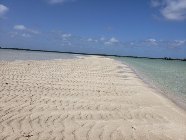 Strand