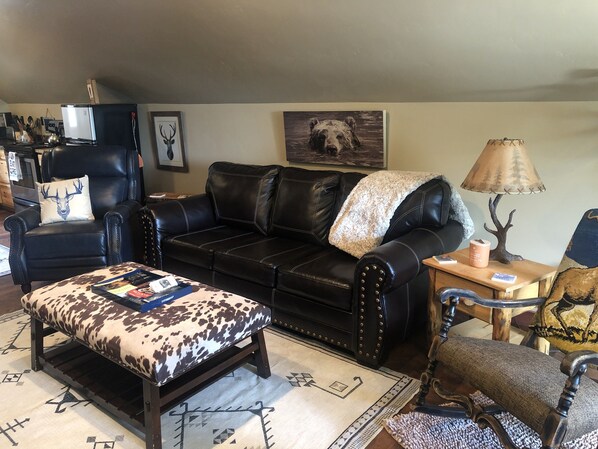 Living room with pullout queen bed.