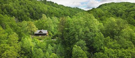 The cabin sits high atop a ridge surrounded by trees - complete privacy!
