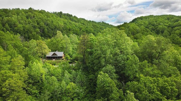 The cabin sits high atop a ridge surrounded by trees - complete privacy!