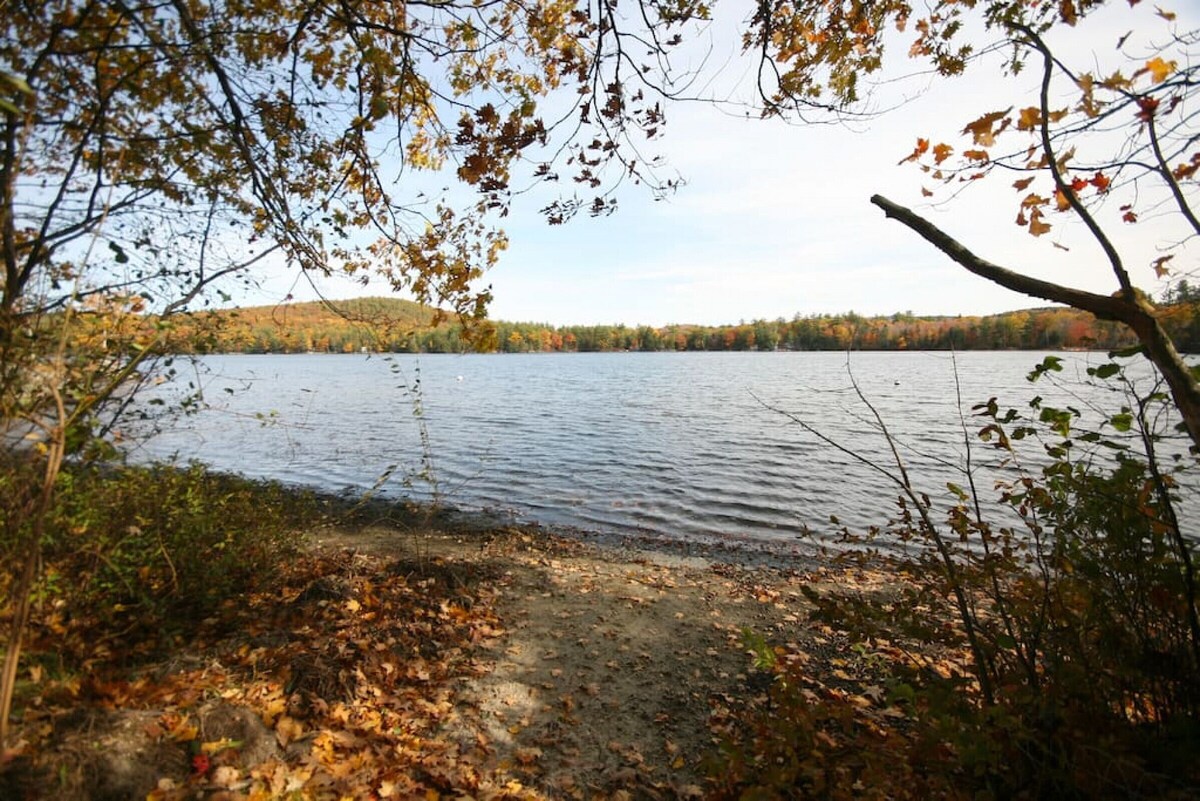 Main Image