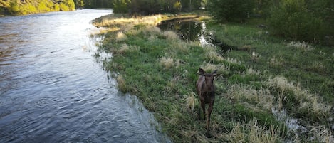 Overnatningsstedets område