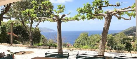 Terrasse pour déjeuner face à la mer