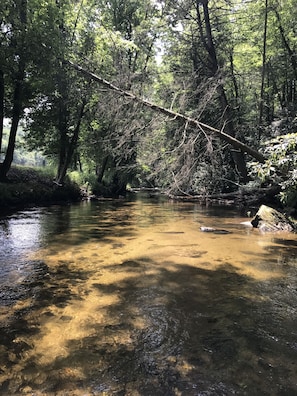 Creek looking South. 