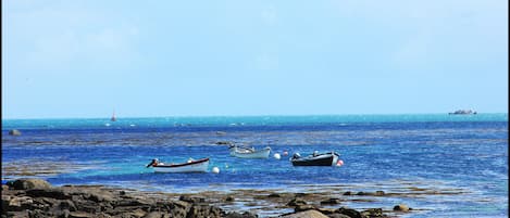 Vista da propriedade