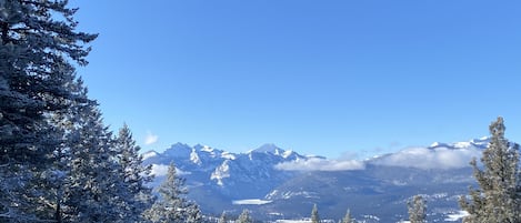 Deck view