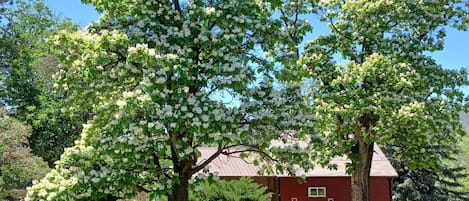 Overnatningsstedets område