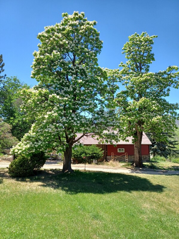 Boendeområde