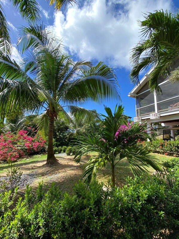 Large property with extensive tropical gardens.