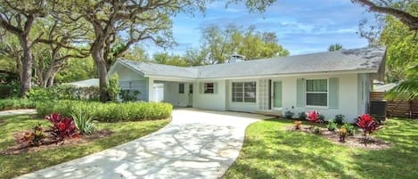 Oak-canopied front yard 