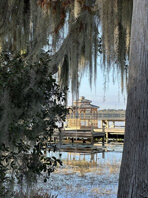 Nature Walk to Lake
