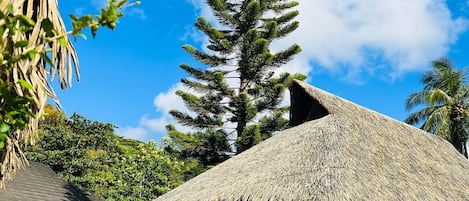 Terrenos do alojamento