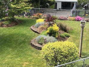 Garden view in summer