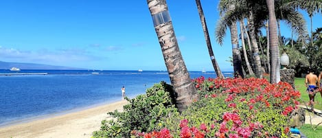 Lahaina Shores Beach Front Resort