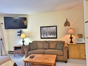Living Area with Sleep Sofa
