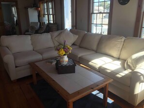 Large sectional couch seats many