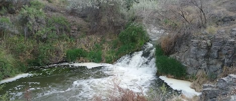 Waterfall Park nextdoor