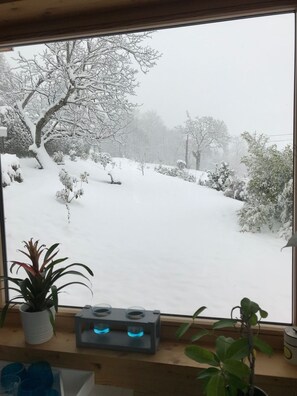 Vista desde la propiedad