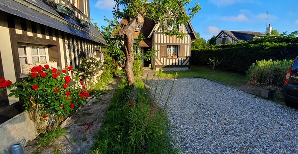 Exteriör