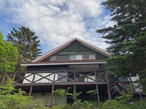 Private space surrounded by fir trees in a national park
