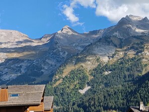 Vue depuis la terrasse l'été