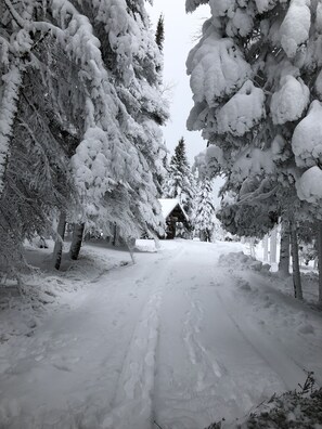 Winter Driveway