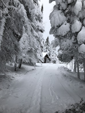 Winter Driveway