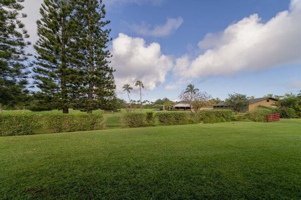 Grass, Lawn, Tree, Sky, Nature
