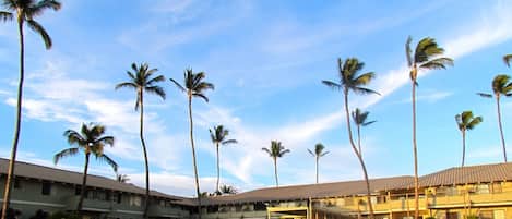 Shores of Maui Resort
