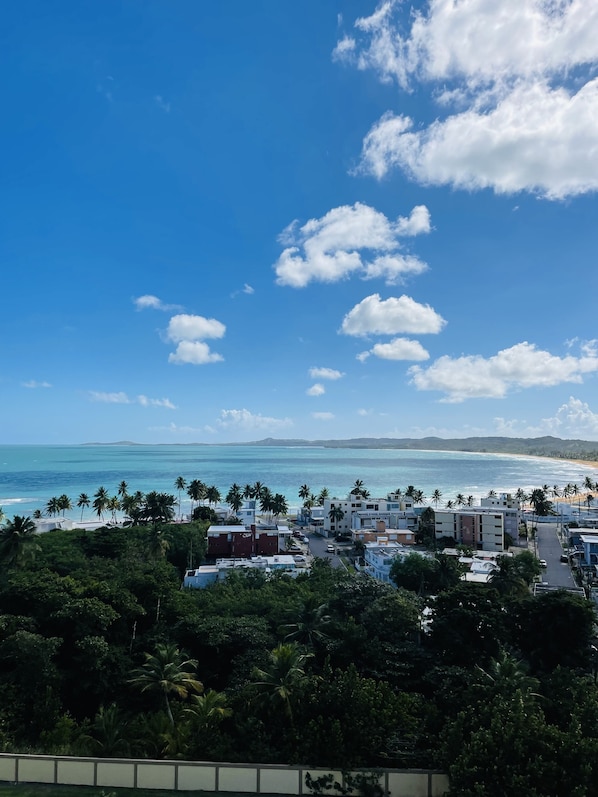 Vue sur la plage/l’océan