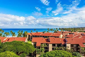 Watch the palm trees sway from your private lanai
