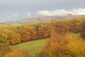 View from the property toward May Hill