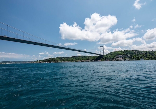 Stunning views of the Bosphorus steps away from our home! 