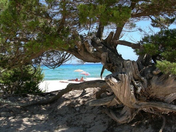 Utsikt mot havet/stranden