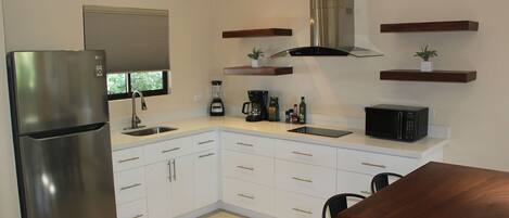 Nicely equipped kitchen, induction cooktop, microwave, toaster, blender, coffee